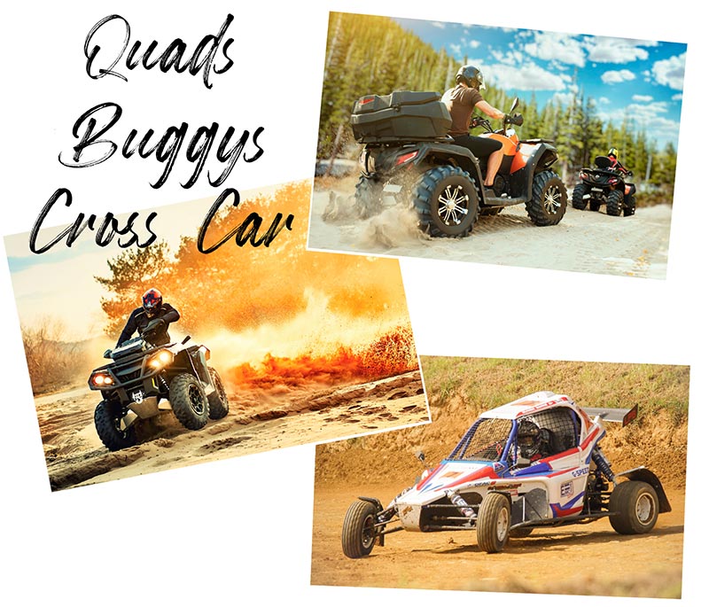 Our shocks absorbers for SSV, buggies, etc.